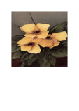 Yellow Flowers II