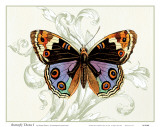 Butterfly Theme I