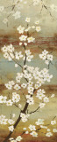 Blossom Canopy I