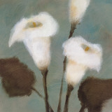 Purity