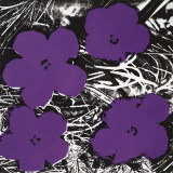 Flowers  c1965 (4 purple)