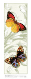 Butterfly Panel II