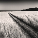 Oceanside Field