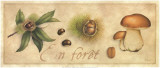 En Forêt