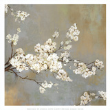 Ode to Spring II