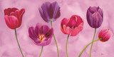 Primavera in Fiore