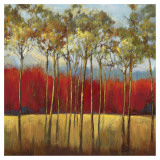 In the Horizon I