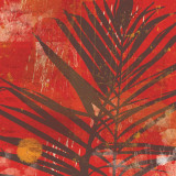 Exotic Palm