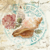 Seashells by the Seashore II