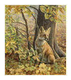 Eyes of Autumn