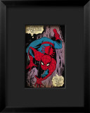 Marvel Comics Retro: The Amazing Spider-Man Comic Panel  Crawling