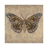 Tiger Butterfly