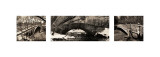 Central Park Bridges (tryptych)