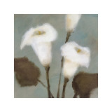 Purity