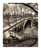 Central Park Bridges III