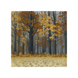 Autumn Wood