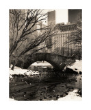 Central Park Bridges IV