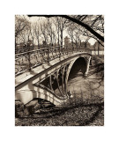 Central Park Bridges III