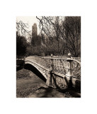 Central Park Bridges II