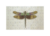 Flight of Fancy I