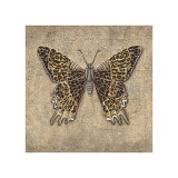 Leopard Butterfly
