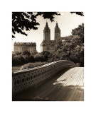 Central Park Bridges I