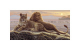 Lions of the Mara