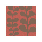 Maidenhair Coco Stem