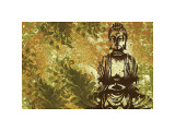 Zen Garden