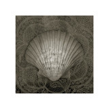 Coastal Relic