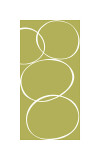 Pistachio II
