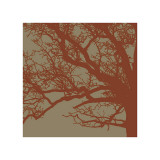 Cinnamon Tree III