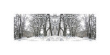 Winter Archway