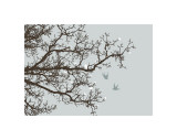 Winter Whimsy
