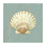 Scallop Shell