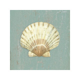 Scallop Shell