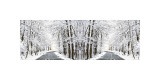 Two Roads Diverged in a Snowy Wood