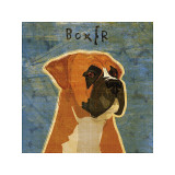 Boxer
