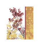 Autumn Fresco