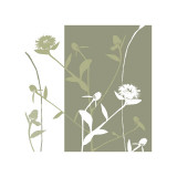 Wildflowers