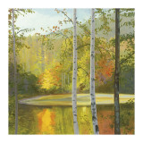 Cooper Lake  Autumn