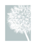 Dandelion Crop (blue)