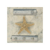 Starfish Journal