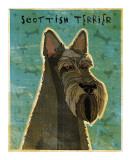 Scottish Terrier