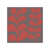 Maidenhair Coral Stem