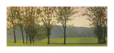 Hazy  Woodstock