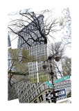 Flatiron Collage