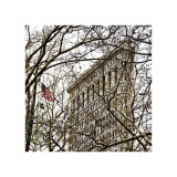 Veiled Flatiron Building (detail)
