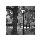 Light in Central Park