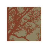 Cinnamon Tree IV